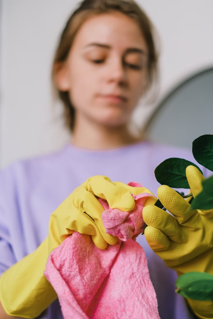 services-02 Focused woman in gloves cleaning with a pink towel indoors, emphasizing cleanliness and care.